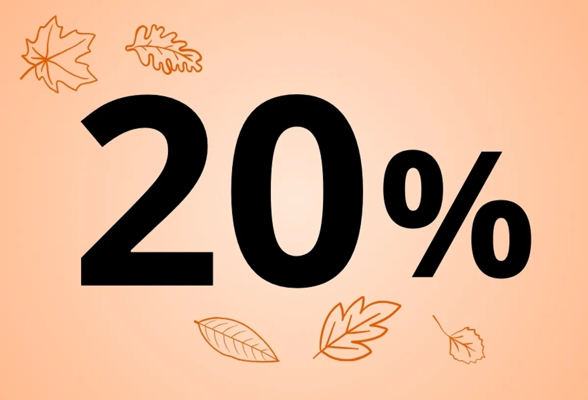 20% ab 0 €